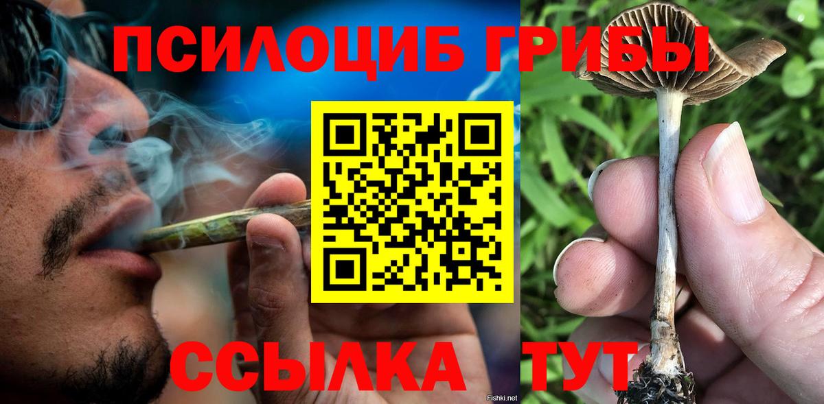 Псилоцибиновые грибы Psilocybine cubensis Курганинск